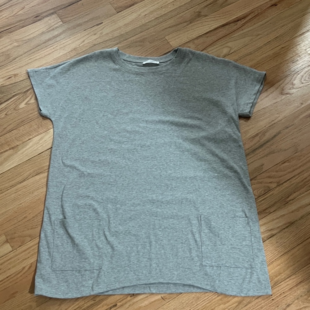 Poetsky Gray Short Sleeve T-Shirt dress